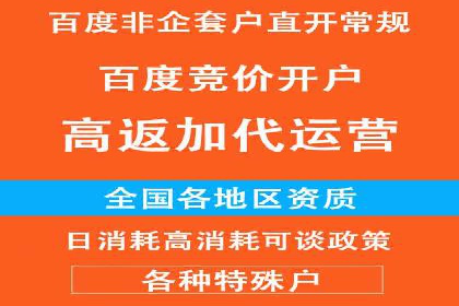 百度推广秘籍：案例与技巧